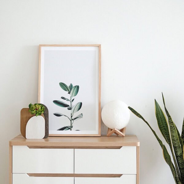Picture Frames Display 8.5