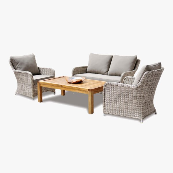 Rattan Wicker Chairs/Soft