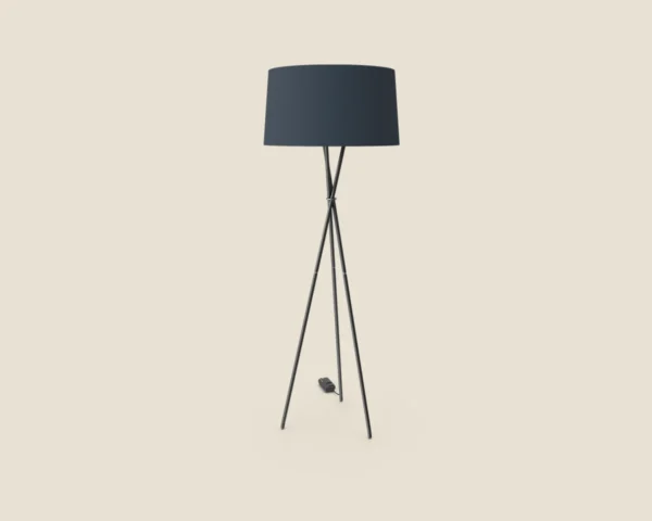 Tripod Light